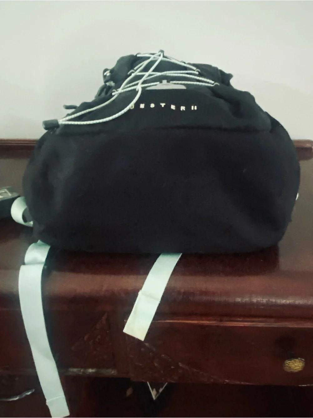 The North Face Black Backpack with Mint Accent Bungee Jester ll